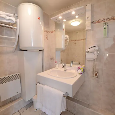 酒店 公园酒店 里昂